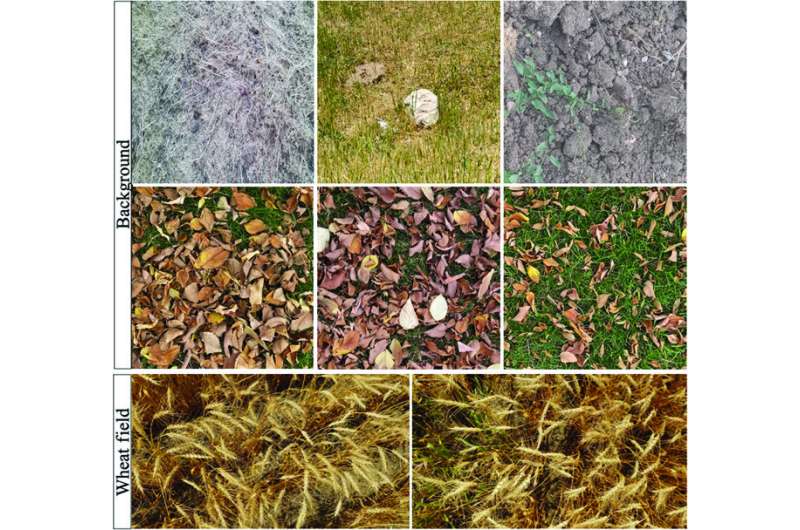 Crop Identification